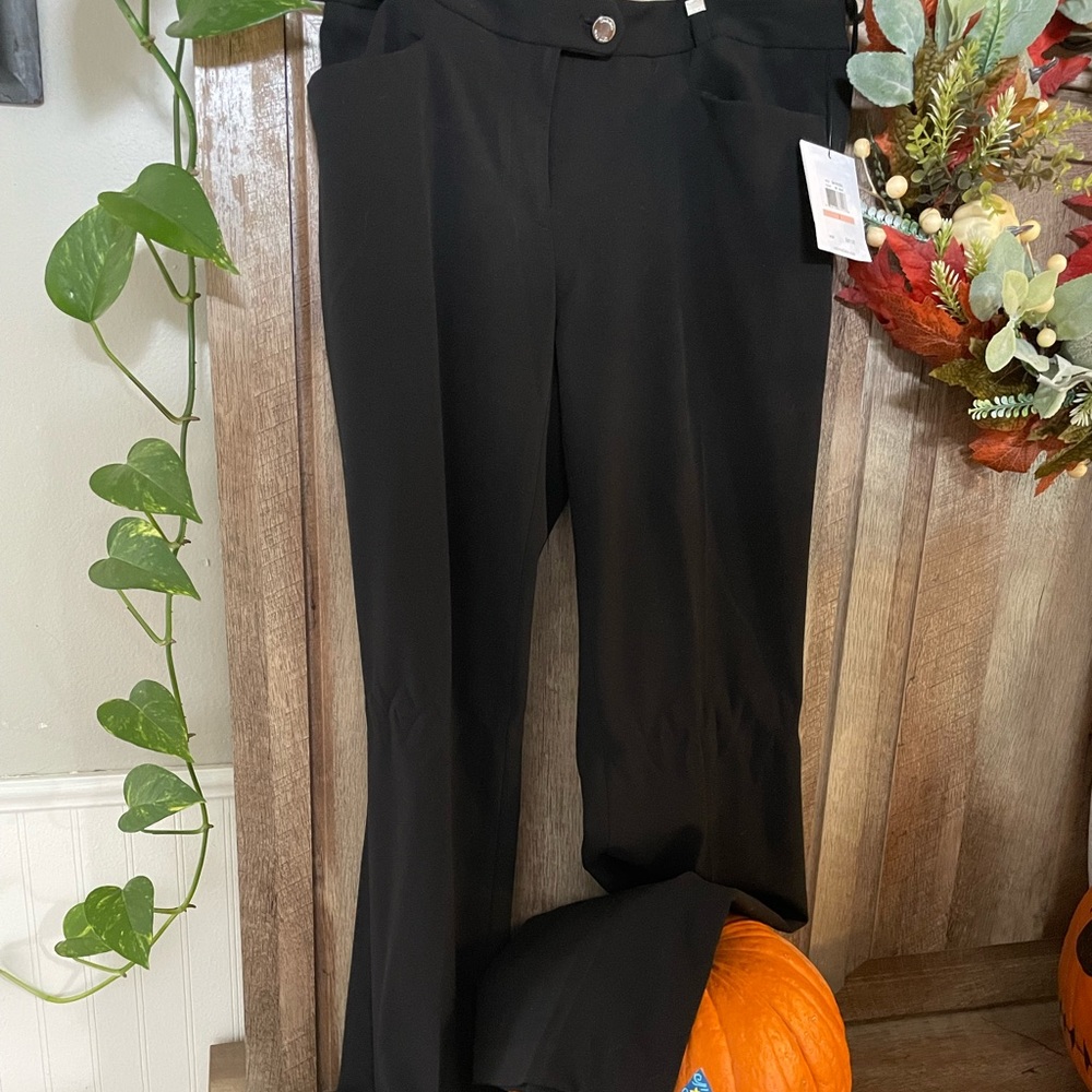 Calvin Klein women’s size 2 modern fit slacks.